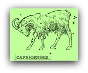 Capricórnio